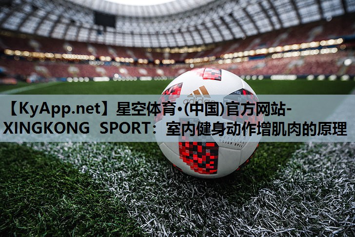 星空体育·(中国)官方网站-XINGKONG SPORT：室内健身动作增肌肉的原理